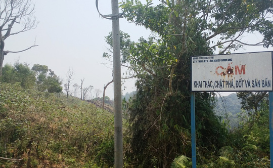 Kon[-]Tum:[-]Cấm[-]phá[-]rừng…[-]cho[-]vui
